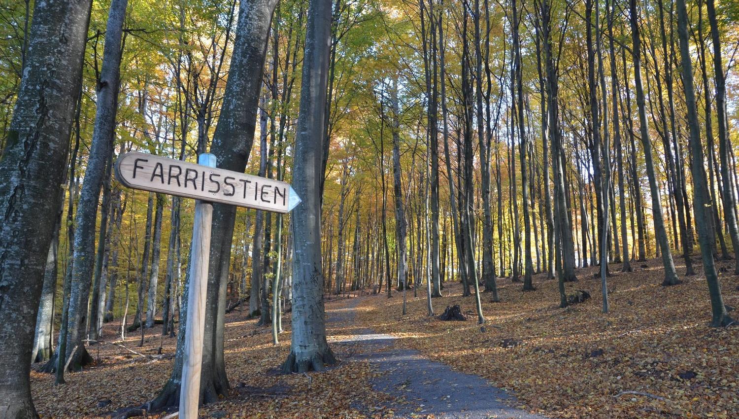 Sign from the beech forest to the Farris lake