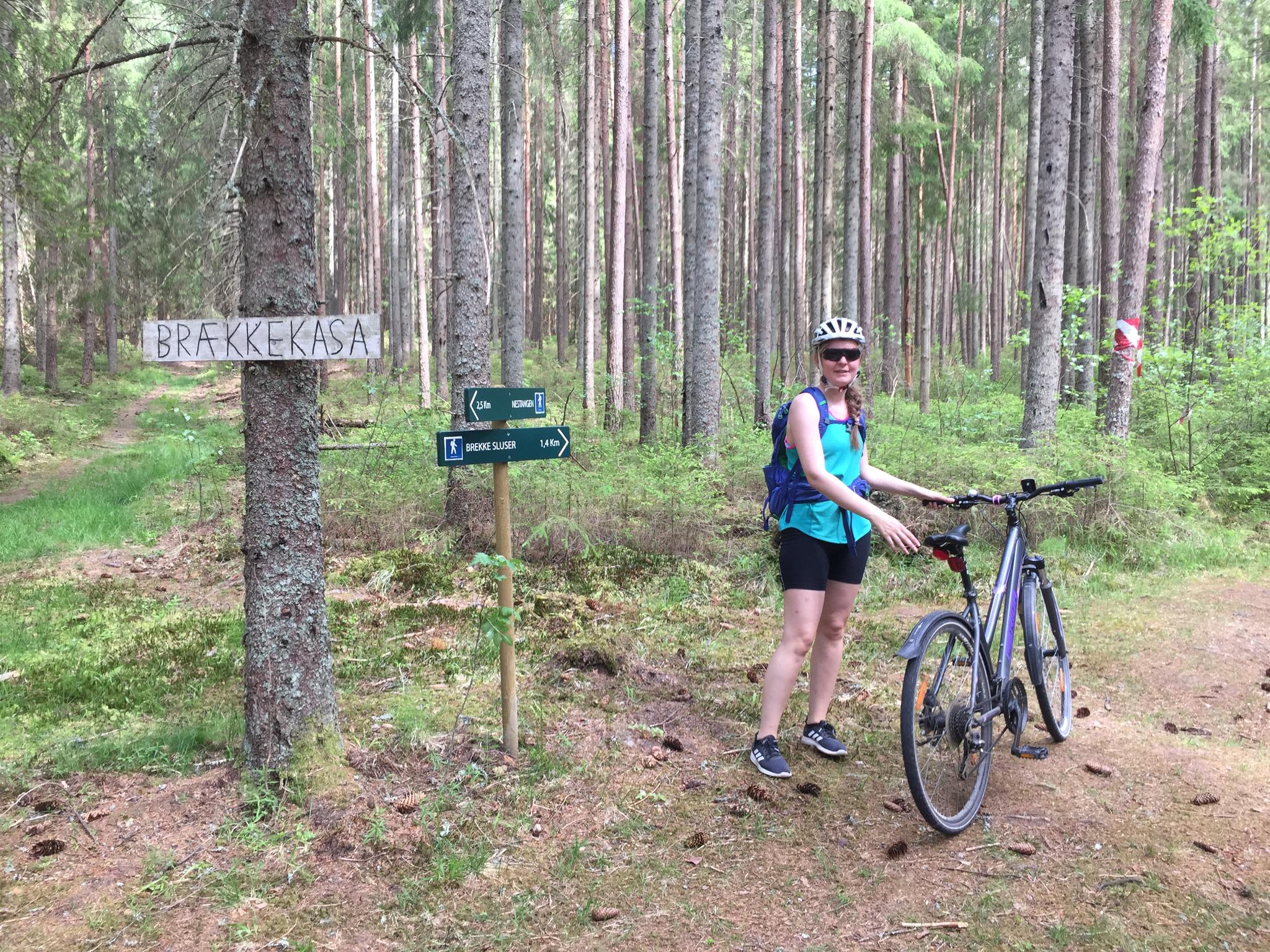 Bikeride - Around the Femsjøen