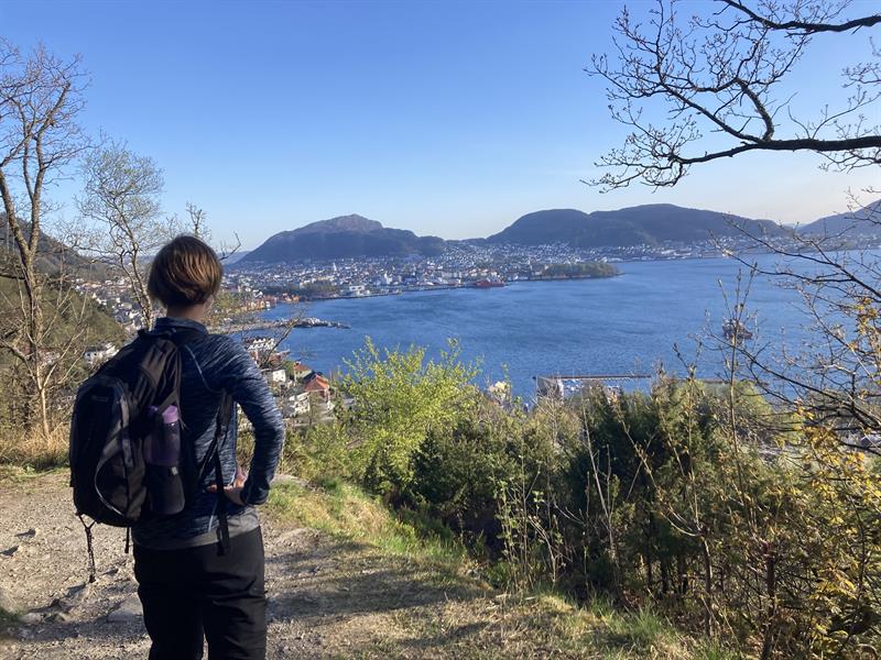 Guided mountain hike in Bergen including lunch
