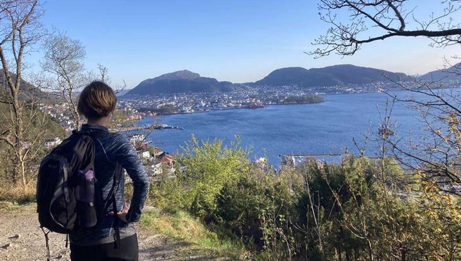 Guided mountain hike in Bergen including lunch