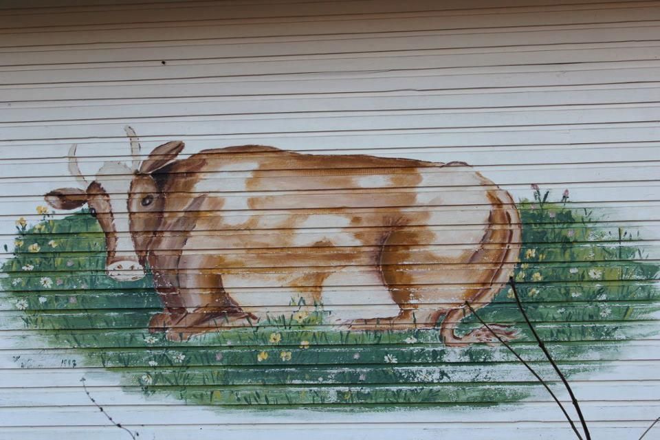 Painting of a cow
