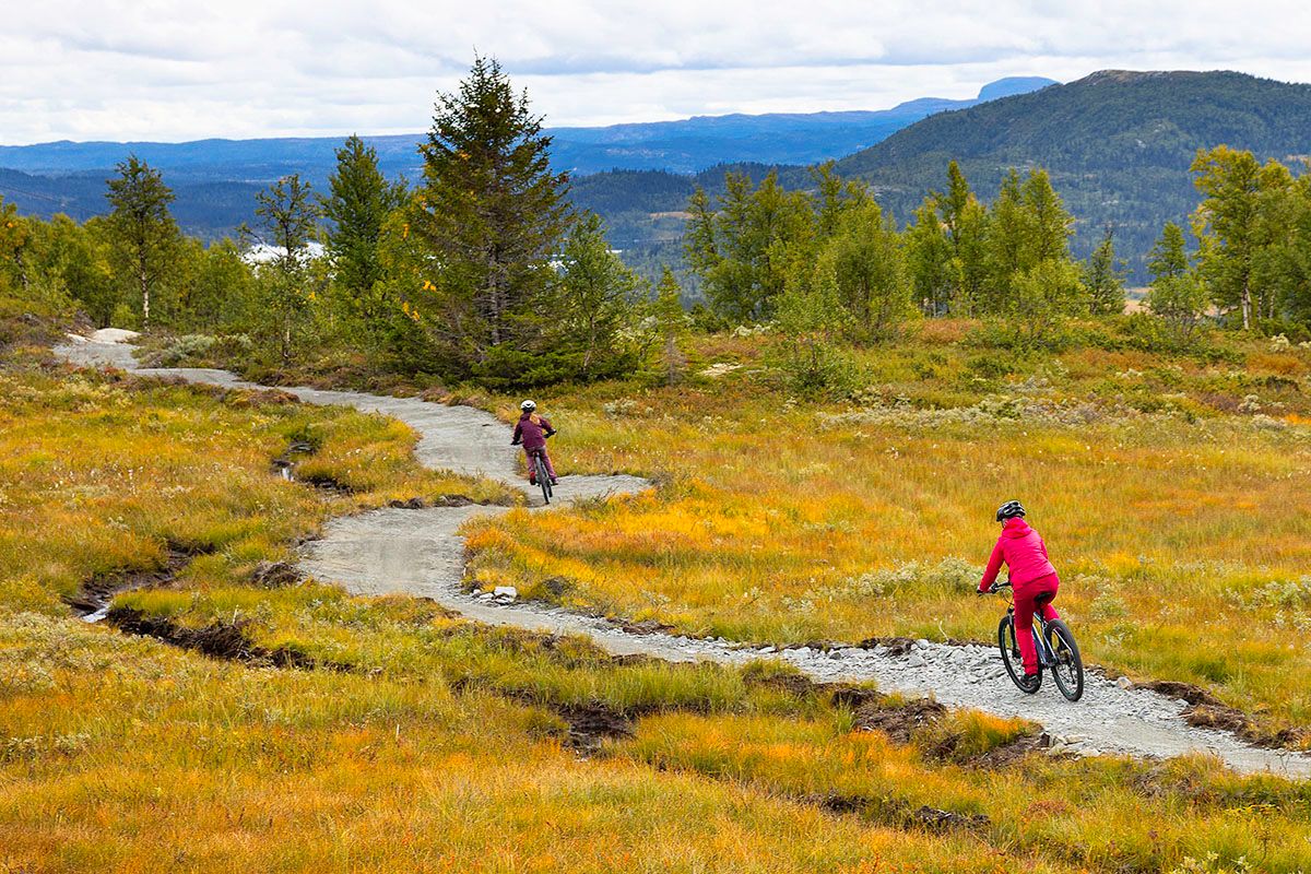 Two mountain bikers on a sustainably built trail in the mountains.