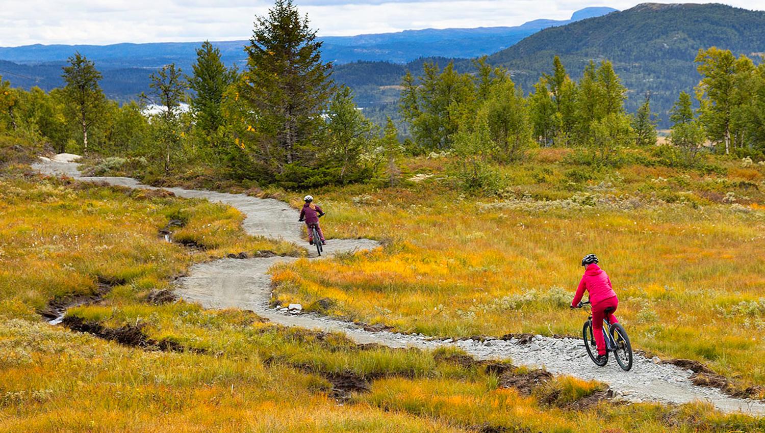 Two mountain bikers on a sustainably built trail in the mountains.