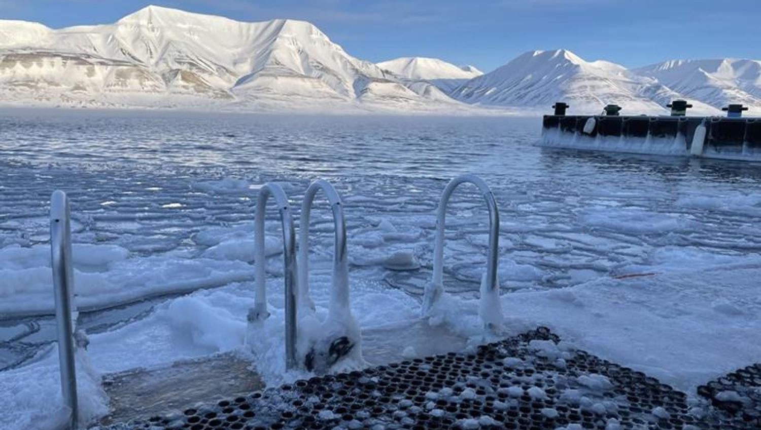 Ladders along a quay in a fjord with drift ice along the quay. Snow-covered mountains lit up by the sun are visible in the background.