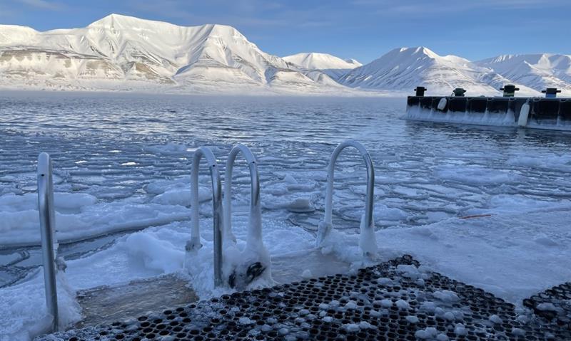 Stiger langs en kai i en fjord med drivis langs kaien. I bakgrunnen er snødekte fjell belyst av sola.