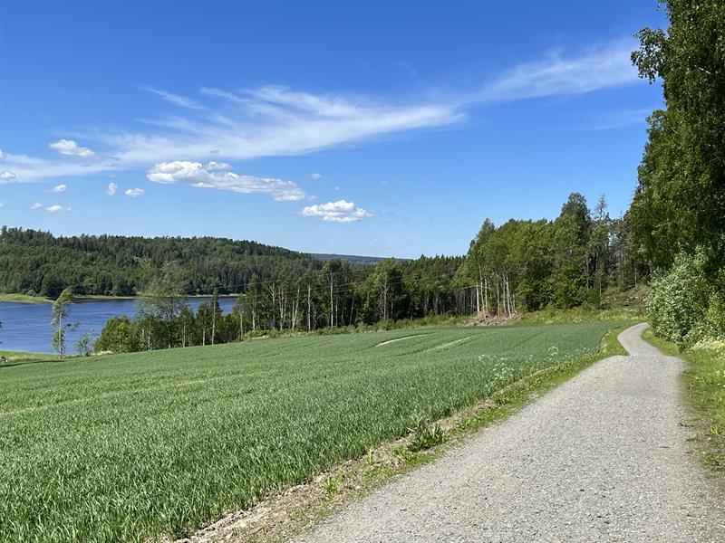 Solbergfosslinna