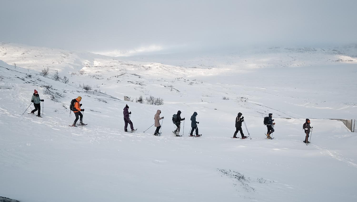 Group snowshoeing through the winter landscape in Hardanger.