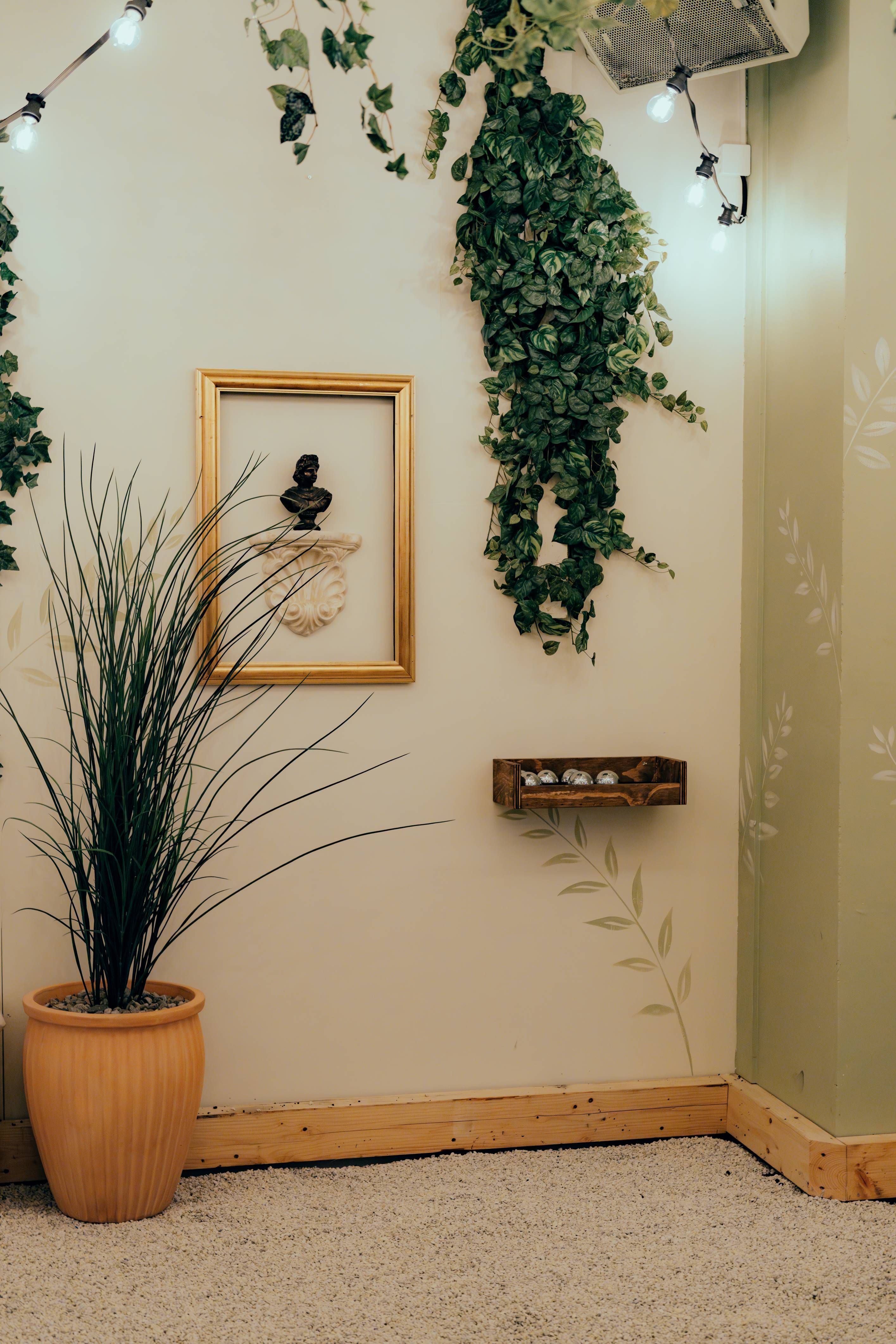 A cosy indoor corner decorated with hanging ivy plants, a golden picture frame surrounding a small classical bust on a white wall shelf, and a tall po