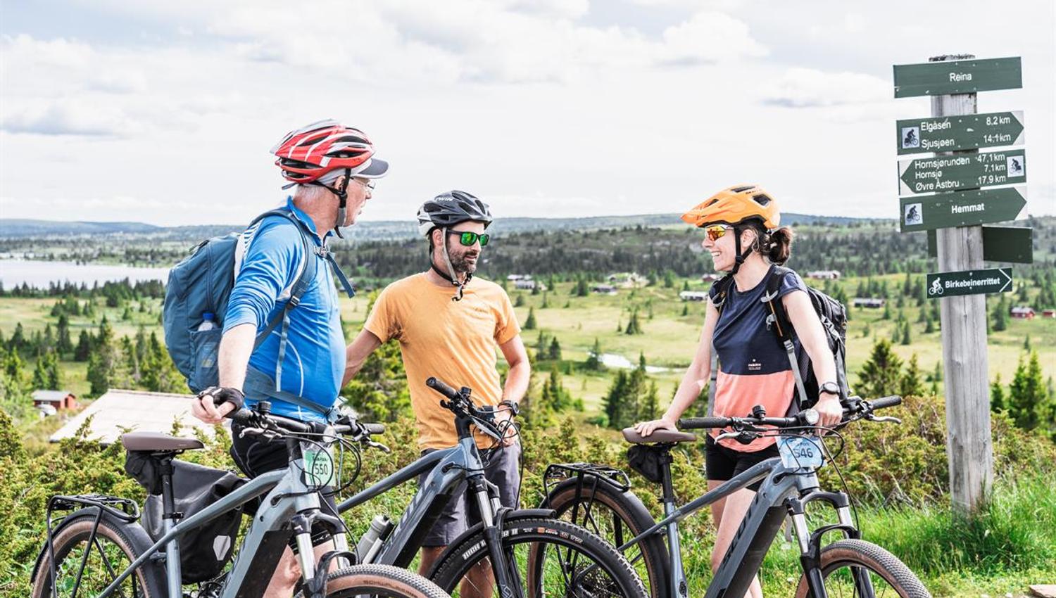 Drei Radfahrer ruhen sich mit ihren Rädern neben einem Wegweiser aus, der Entfernungen zu verschiedenen Zielen anzeigt.