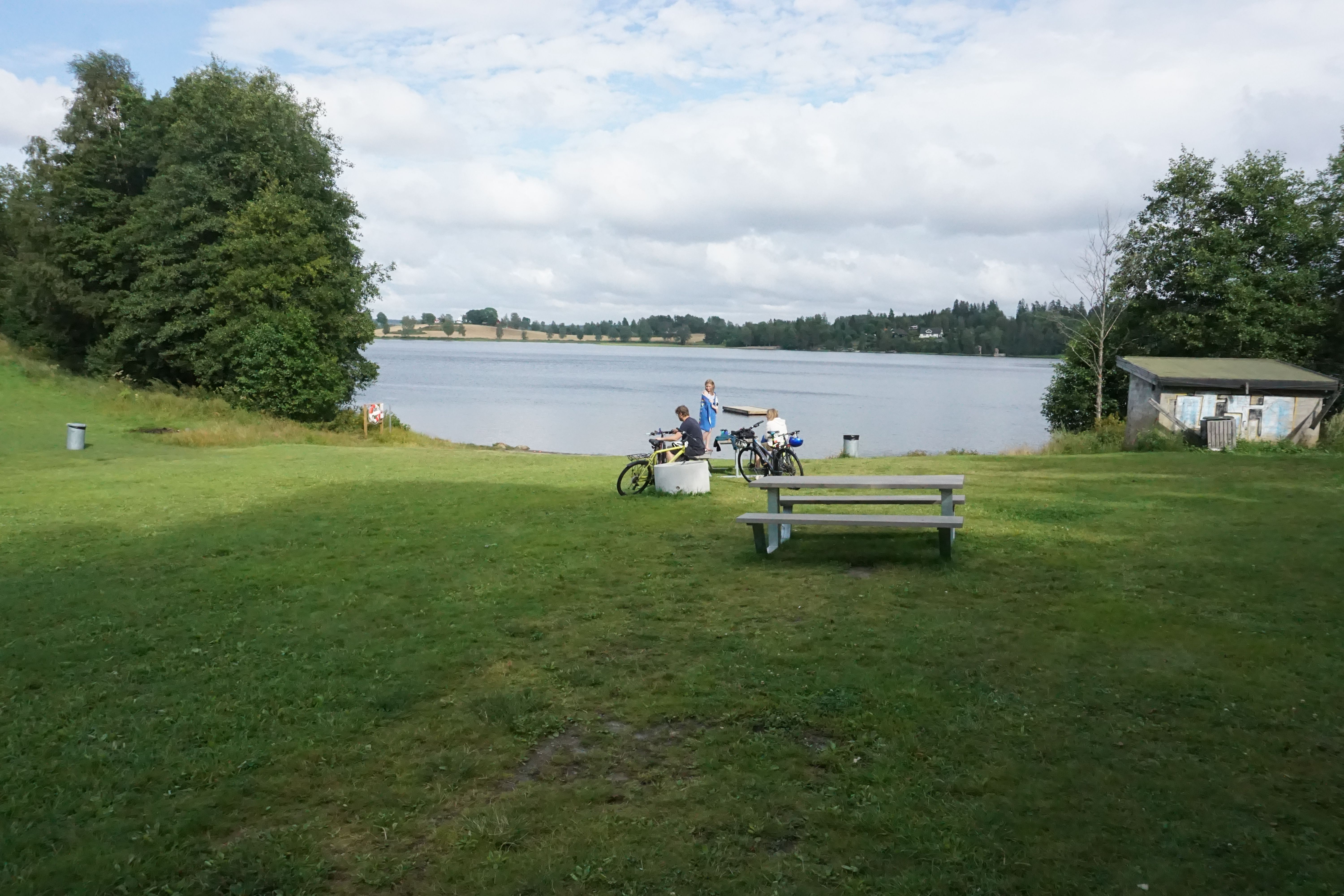 gressplen med benk ved vannet