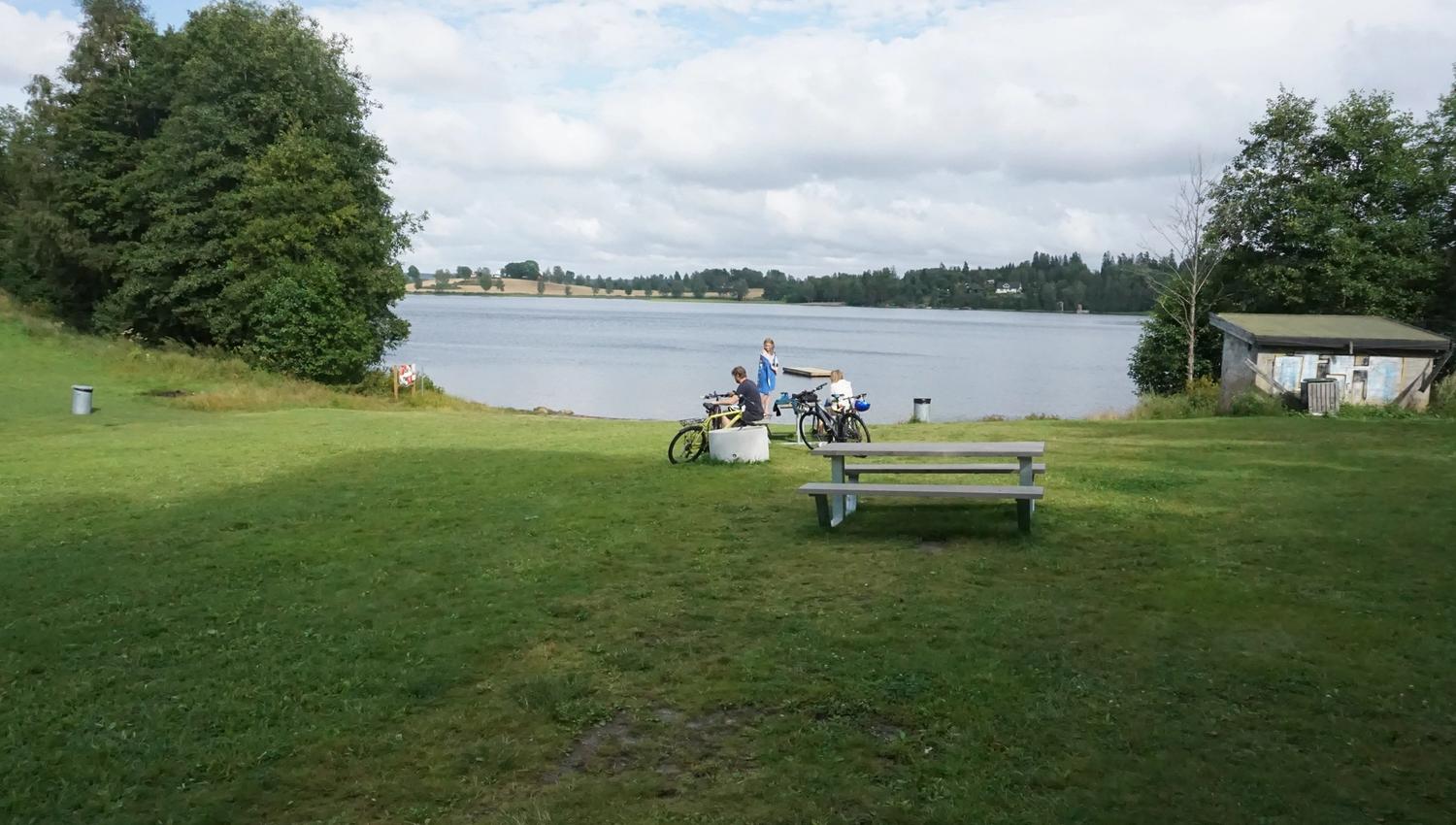 gressplen med benk ved vannet