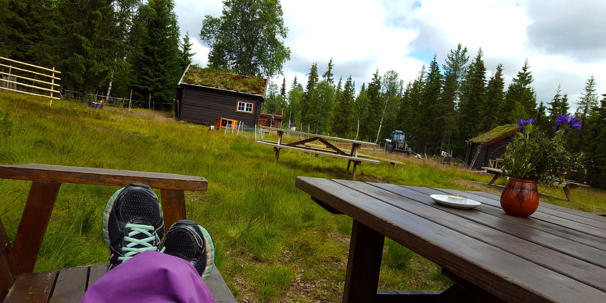 Relax at Holsingseteren summer mountain farm, whether you are there just to visit the farm or passing by during your hike.