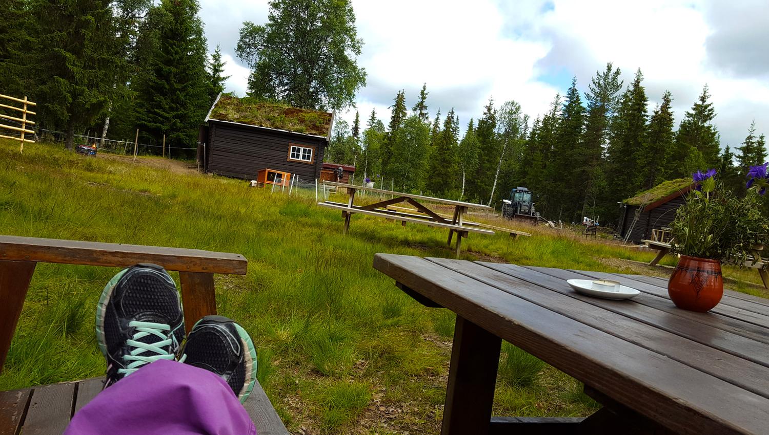 Relax at Holsingseteren summer mountain farm, whether you are there just to visit the farm or passing by during your hike.