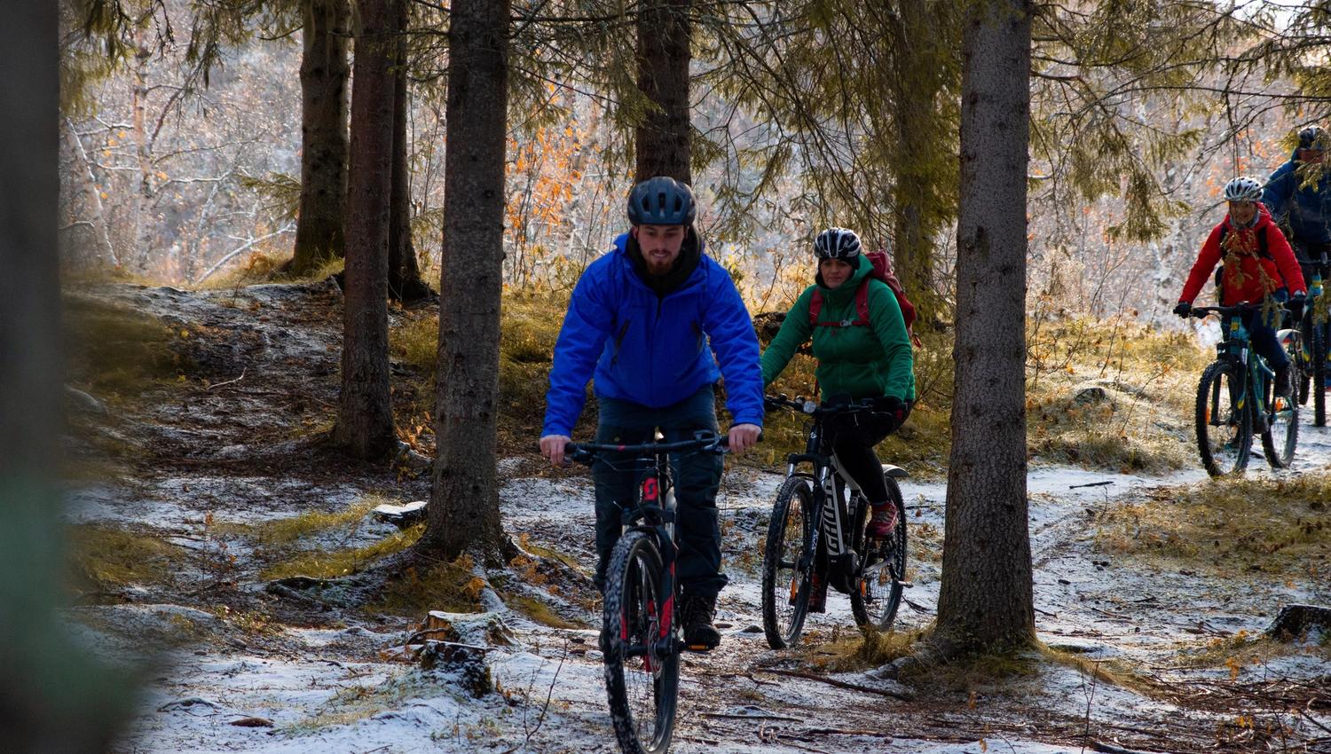 Biking in Folkeparken