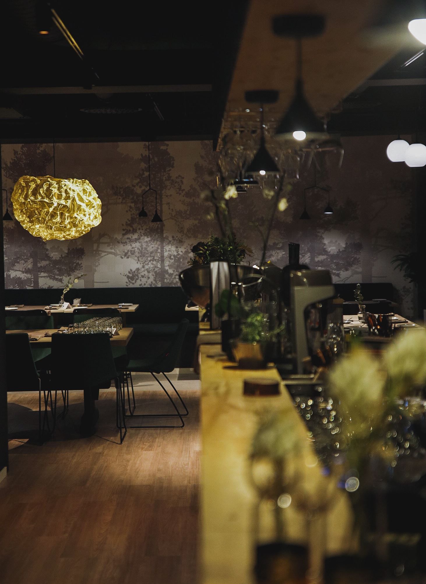 Interior restaurant