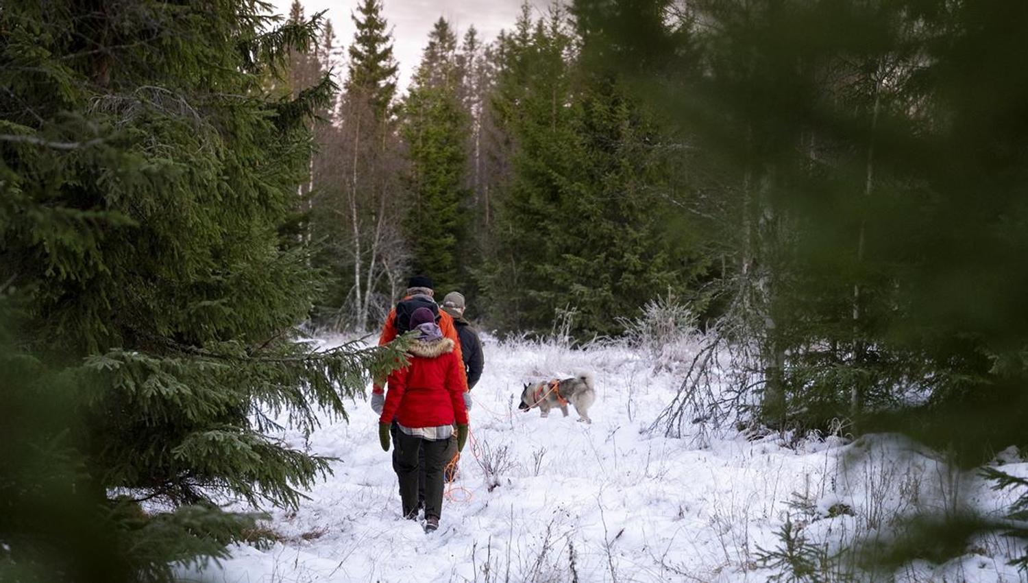 Finnskogen Adventures