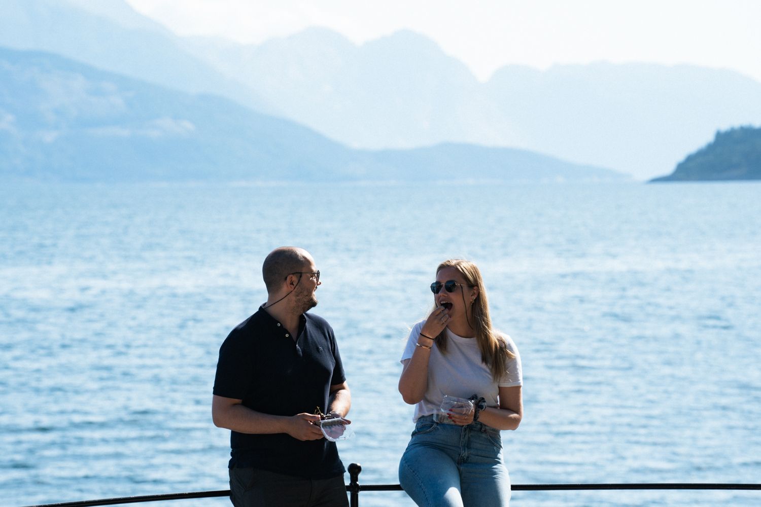 People enjoying the view over a fjord, with mountains in the background and a ship in the distance.
