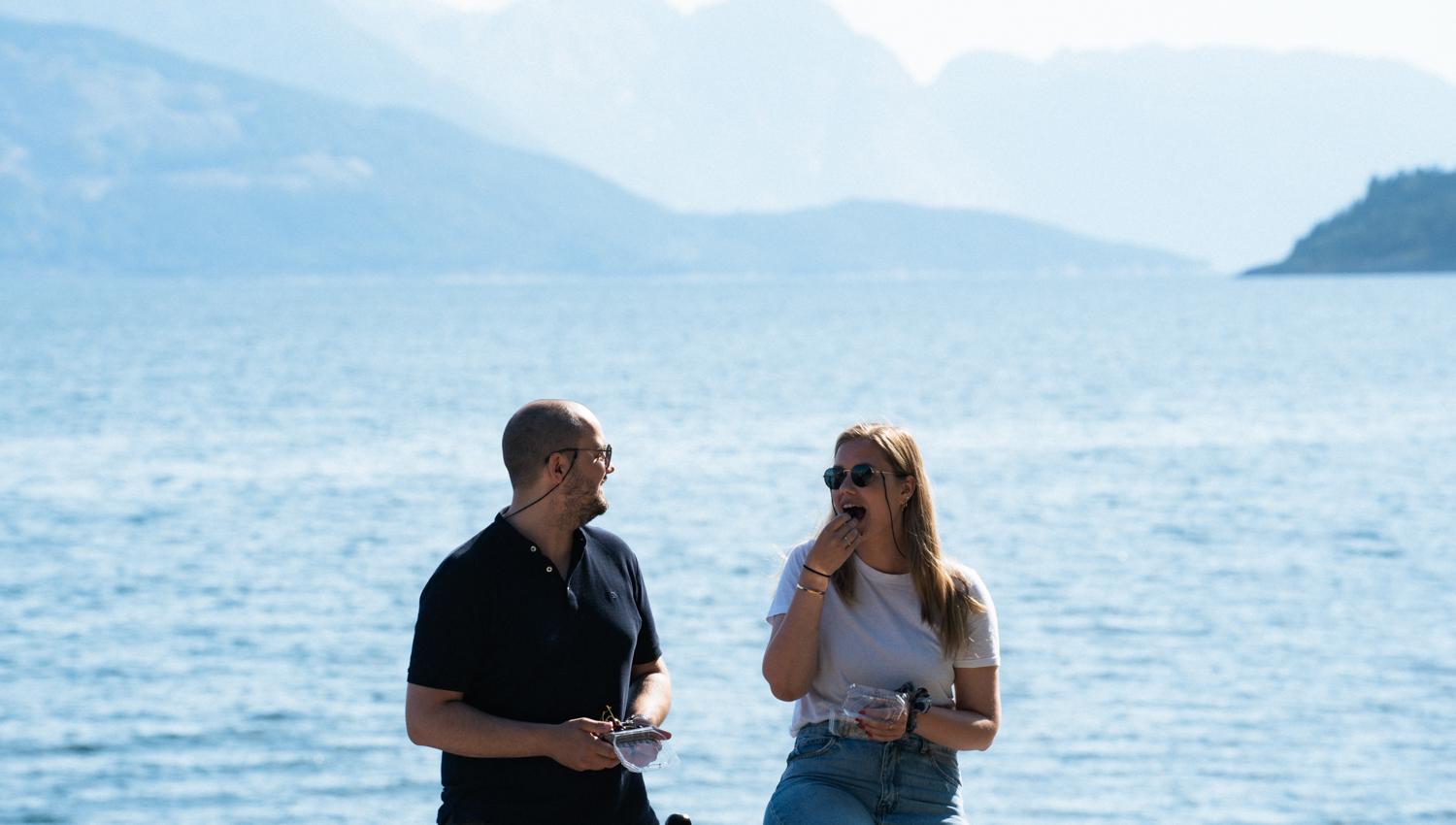 People enjoying the view over a fjord, with mountains in the background and a ship in the distance.