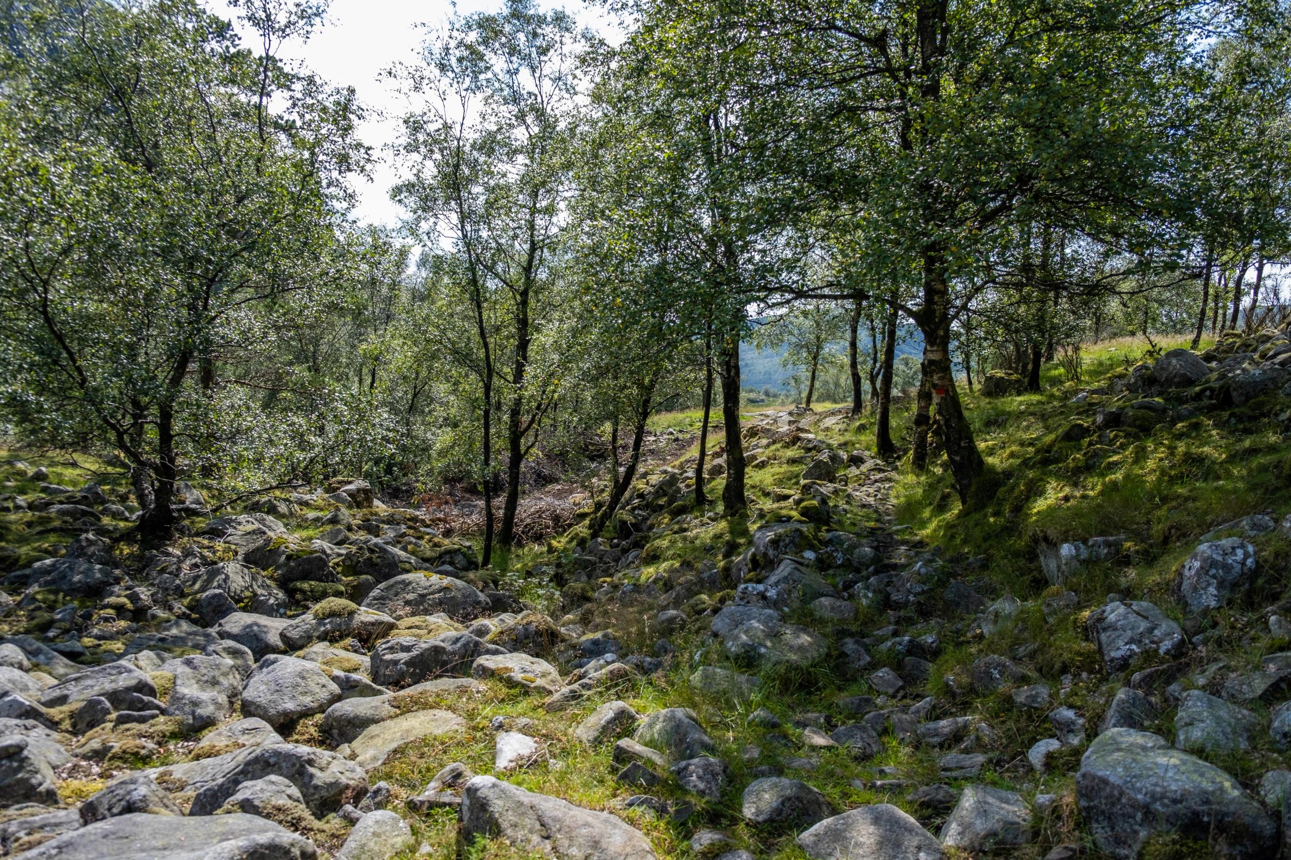 Bergwanderung zum Bukkaknuten