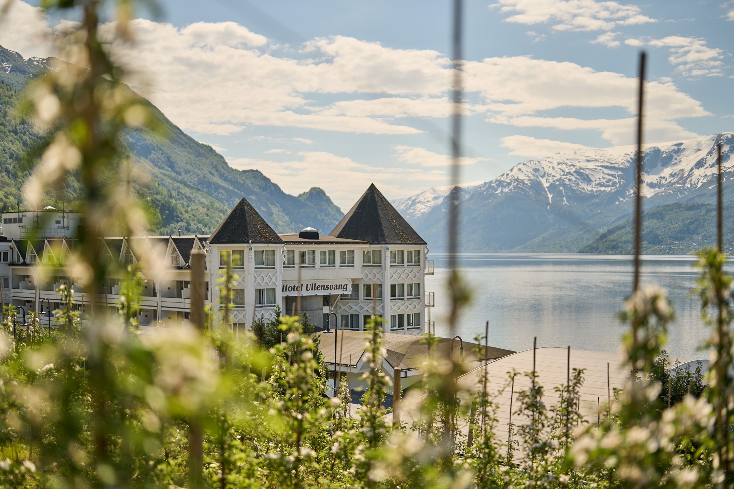 Hotel Ullensvang seen through blooming fruit trees – a springtime idyll by the fjord.