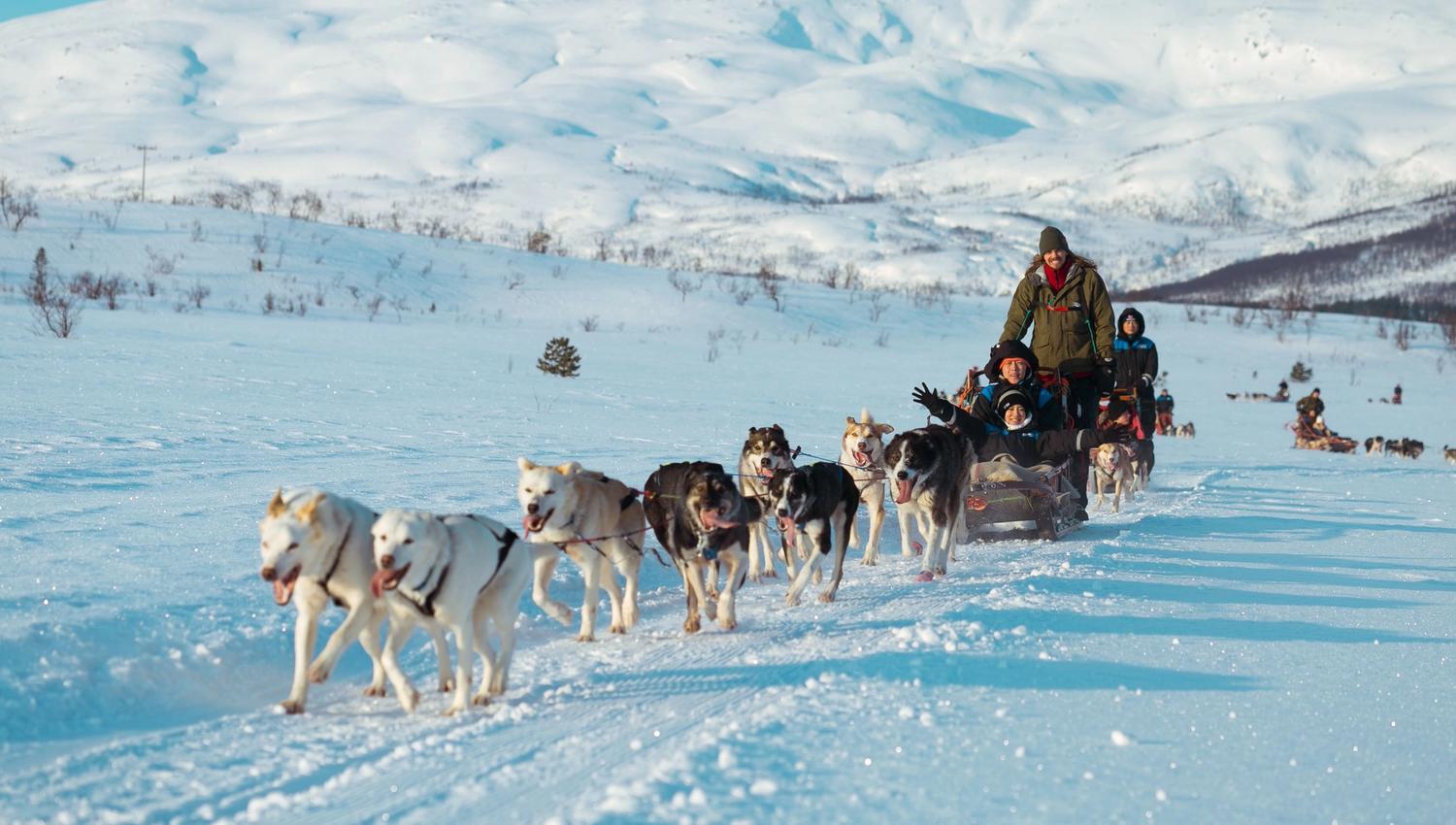 Dog sled with a musher and guests