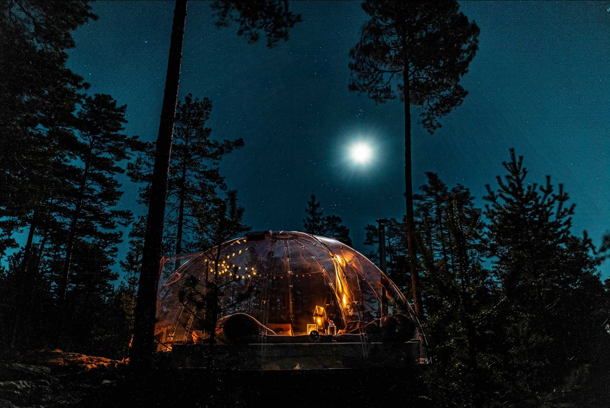 Igloo between the trees in the moonlight