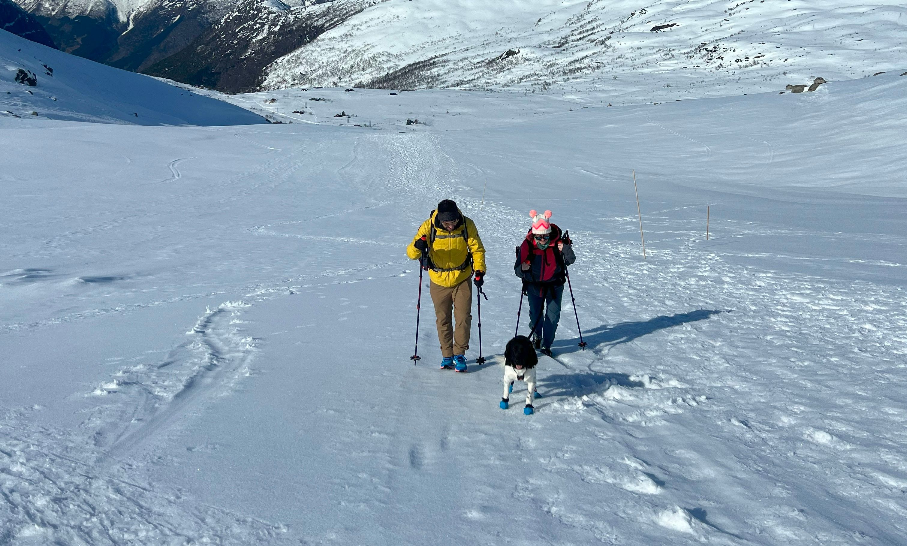 Trolltunga hike winter