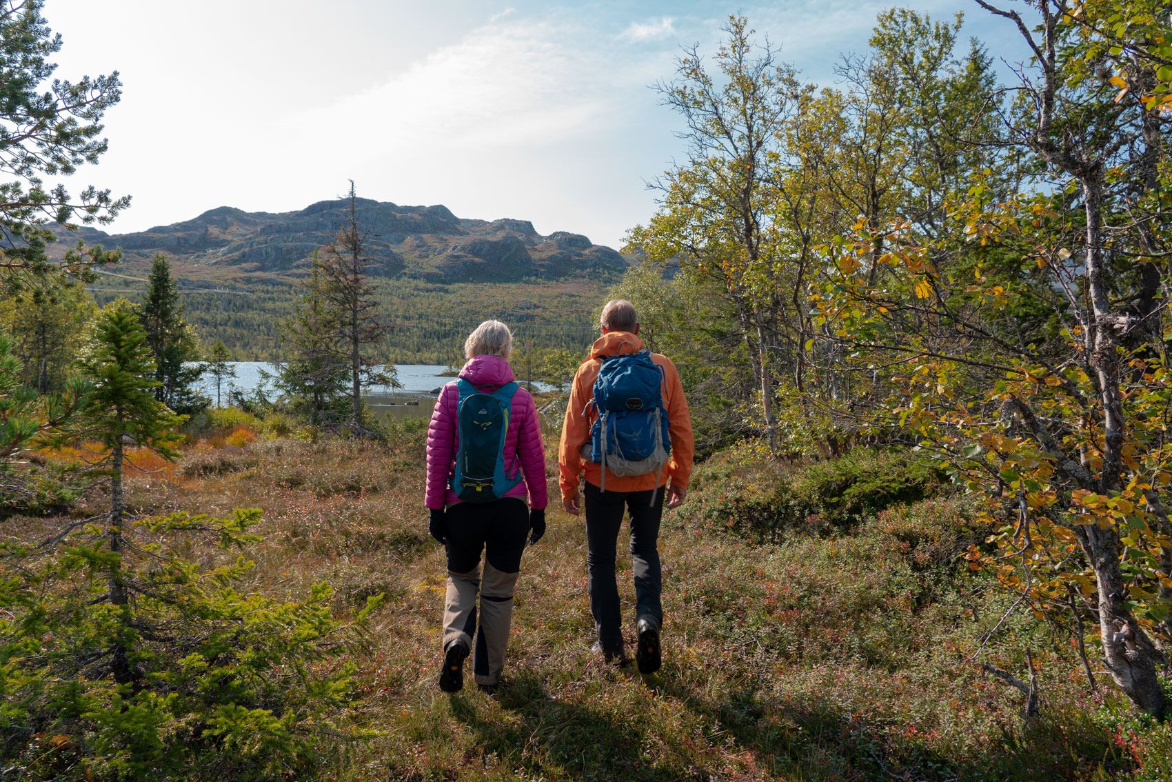 Skipsfjell rundt