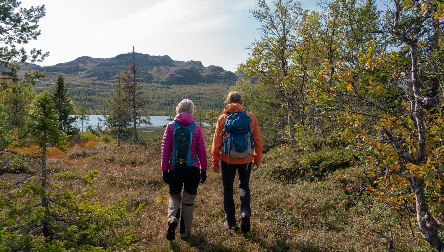 Skipsfjell rundt