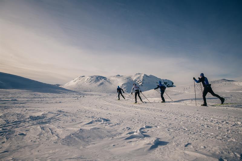 Cross-country skiing at Lifjell