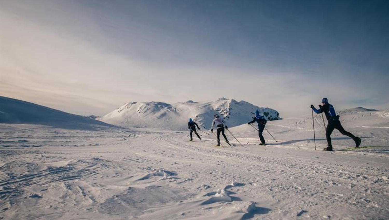 Cross-country skiing at Lifjell