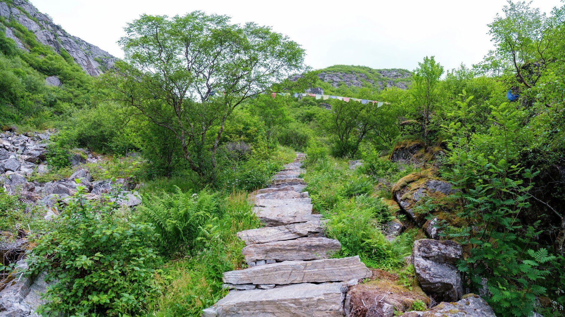 Øya Rødøy på Helgelandskysten