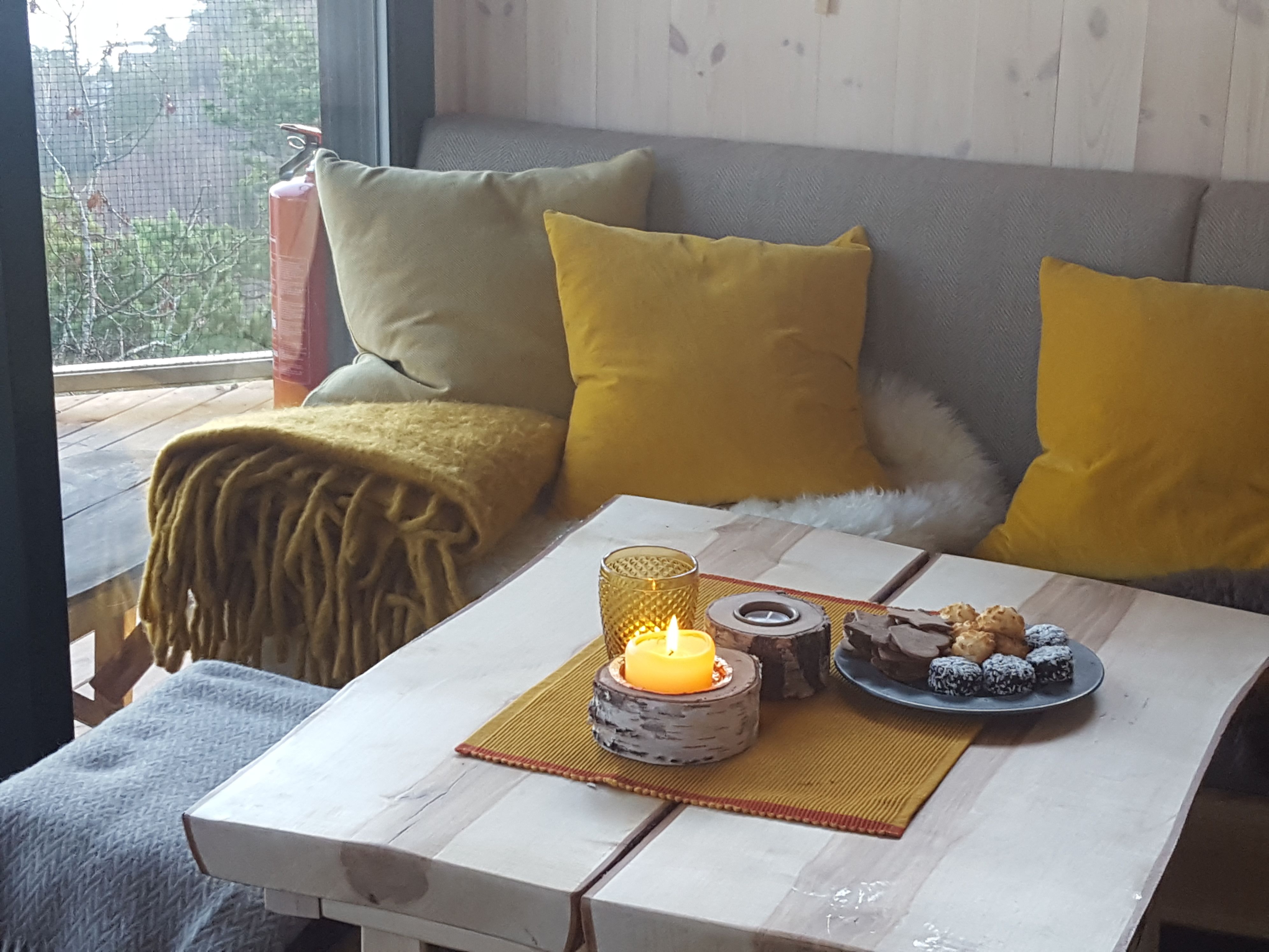 Living room during the day, sofa, table, cushions, good on the table