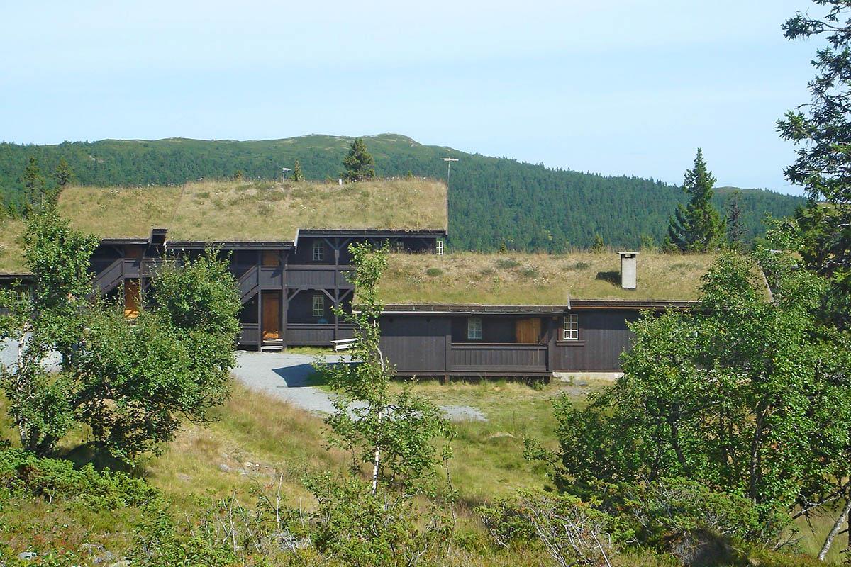 Koselig hytte med gresstak
