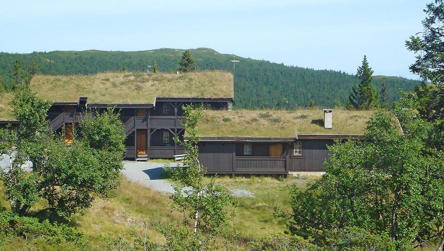 Koselig hytte med gresstak