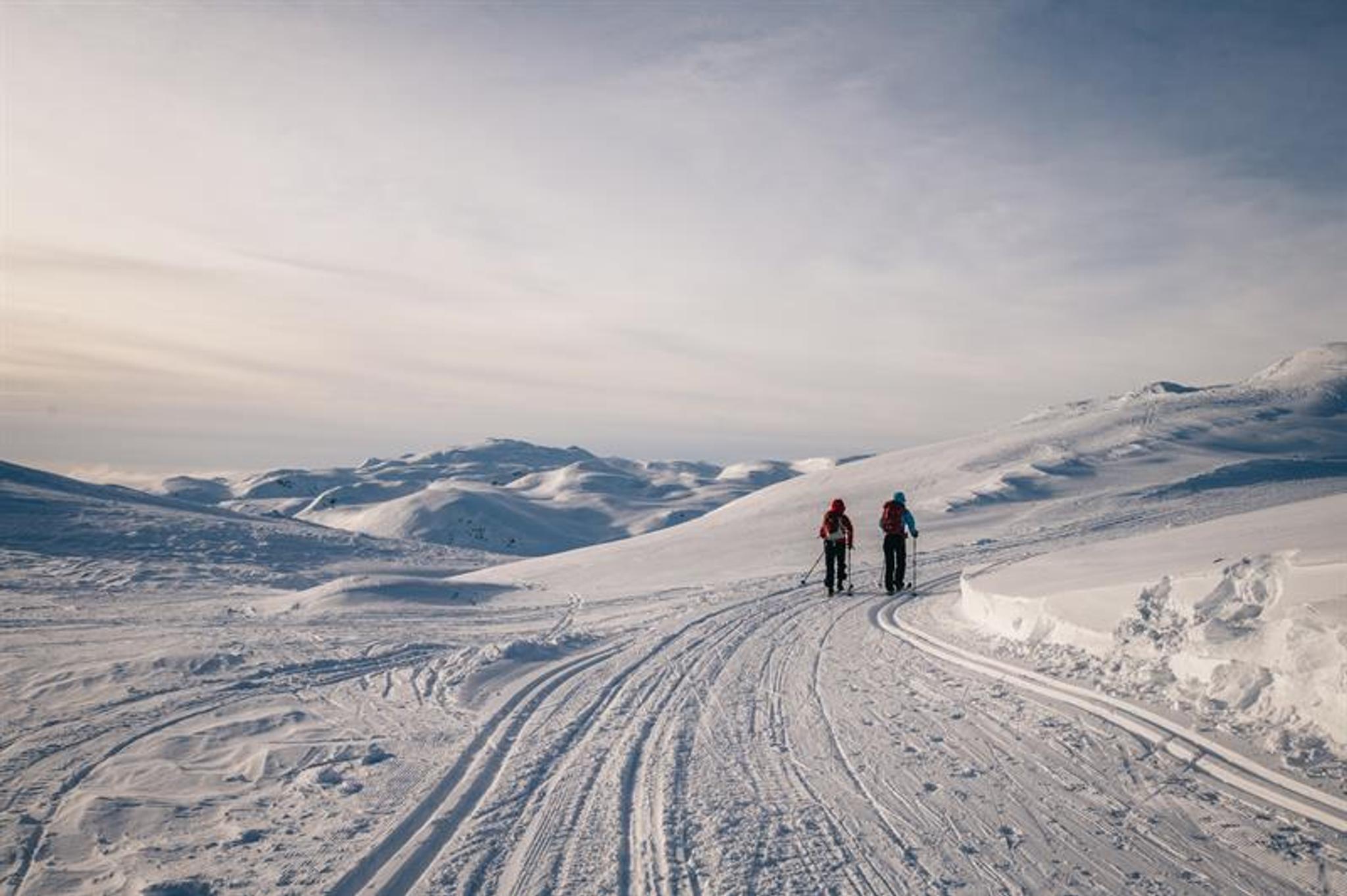 Cross-country skiing at Lifjell