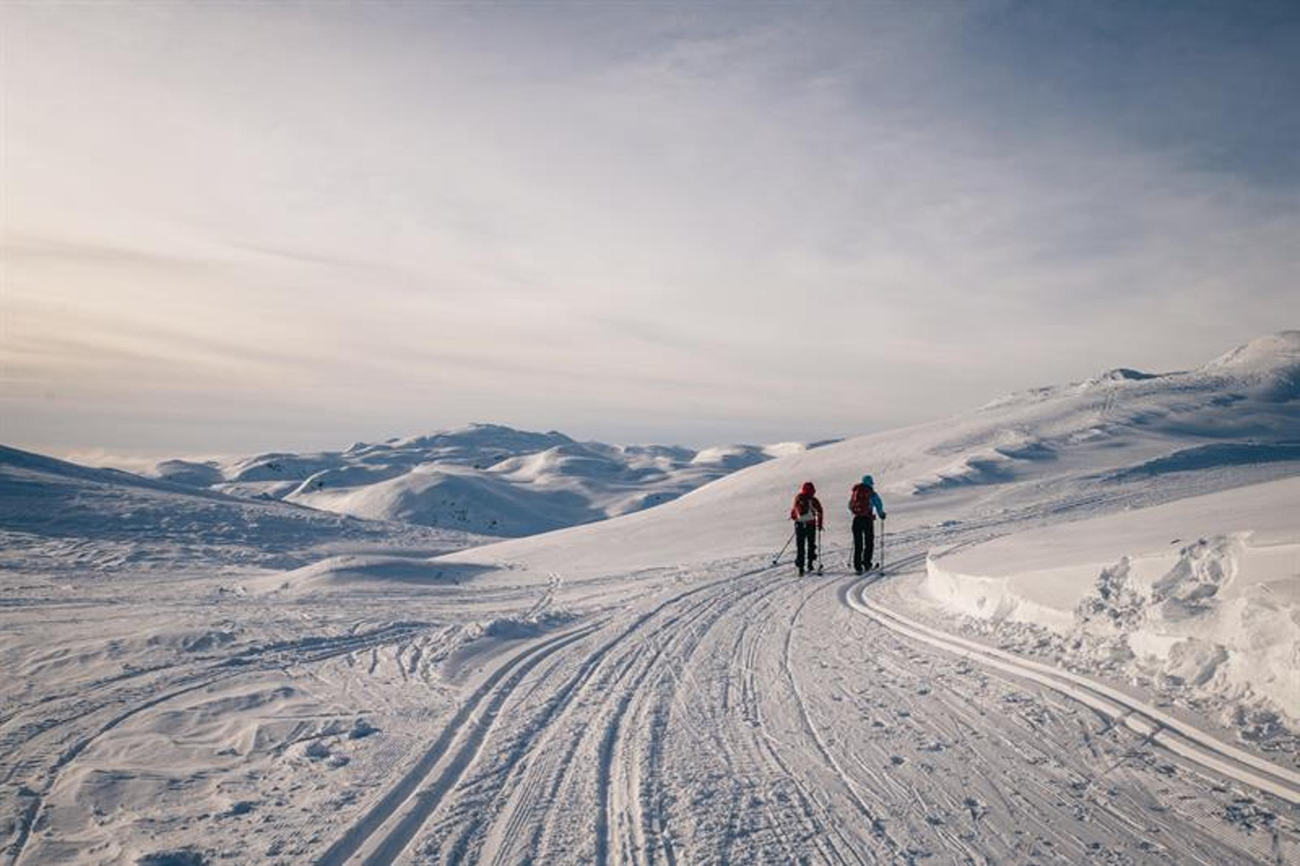Cross-country skiing at Lifjell