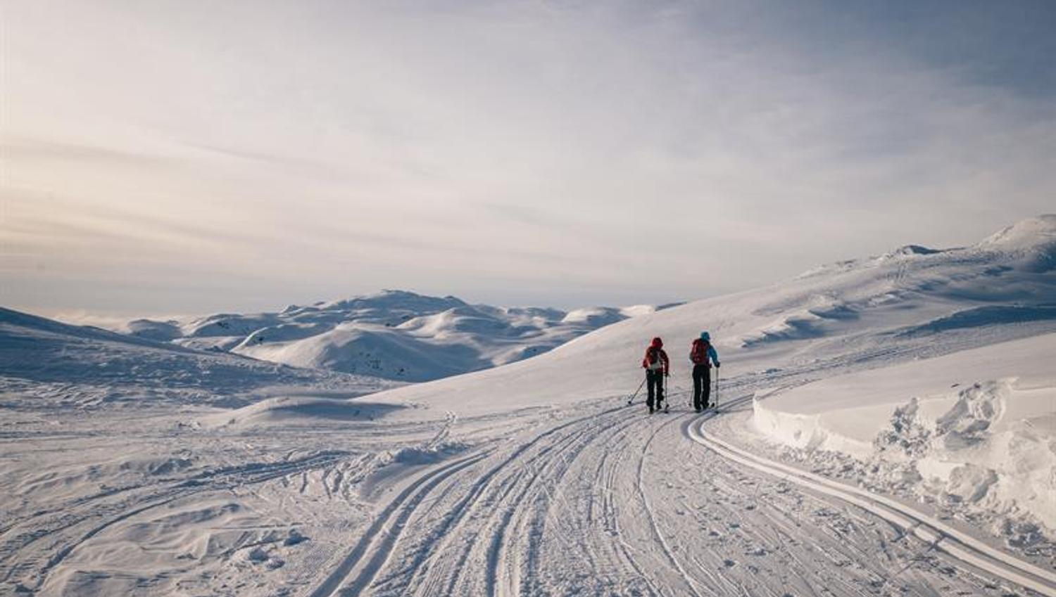 Cross-country skiing at Lifjell