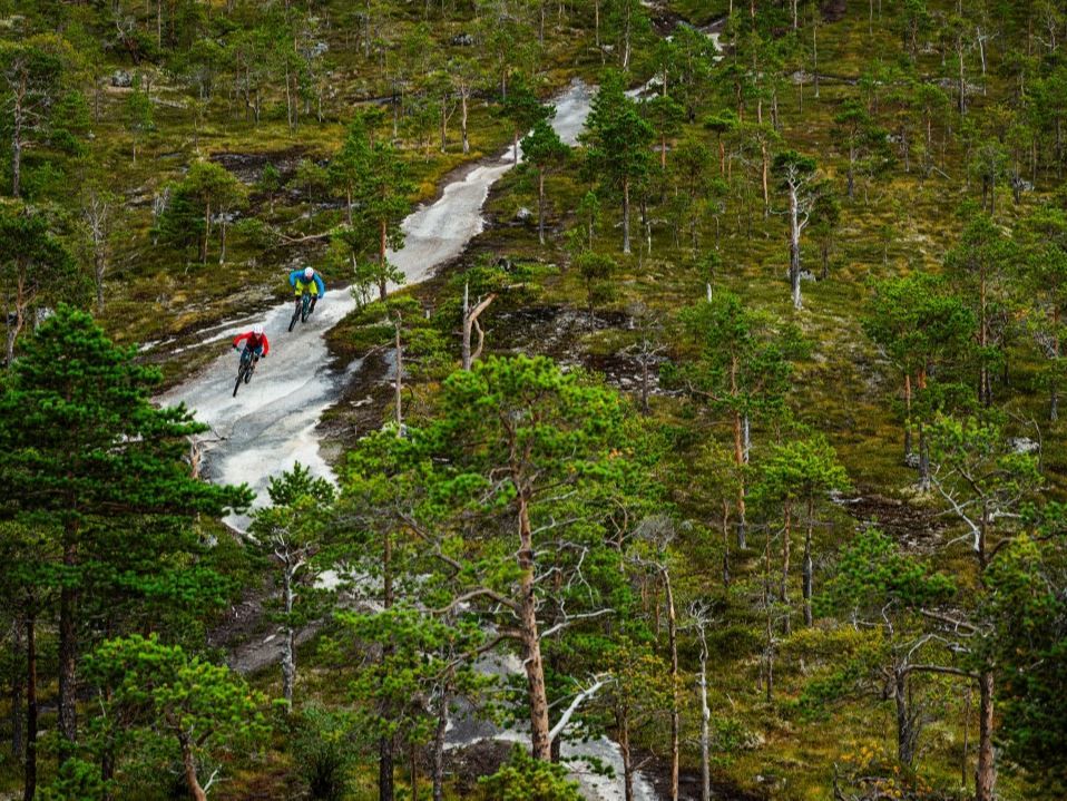 Two mountain bikers ride on a narrow light path through a green forest with scattered trees and moss bottom.
