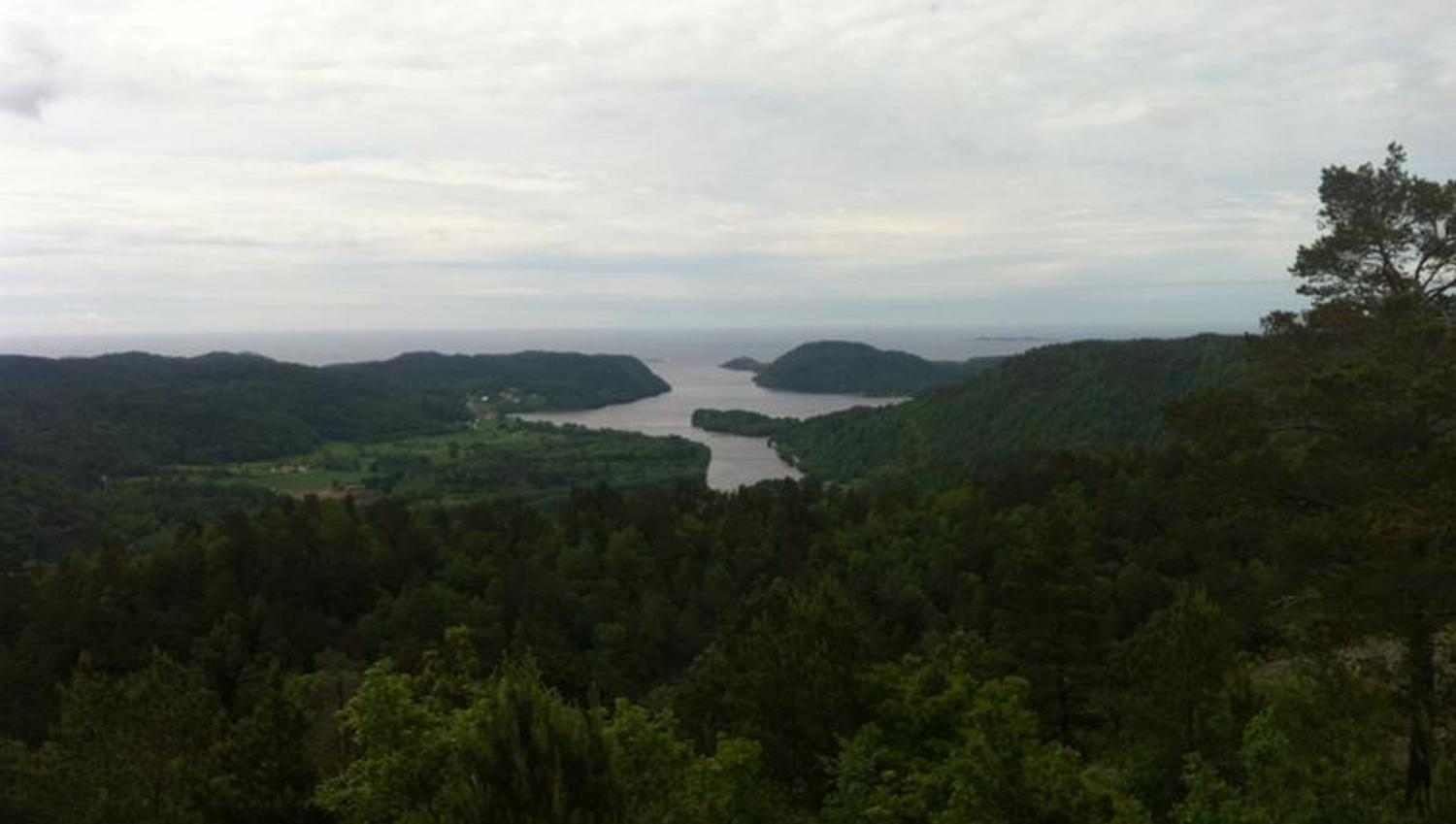 Bilde av skog, med elv som går utover mot havet.