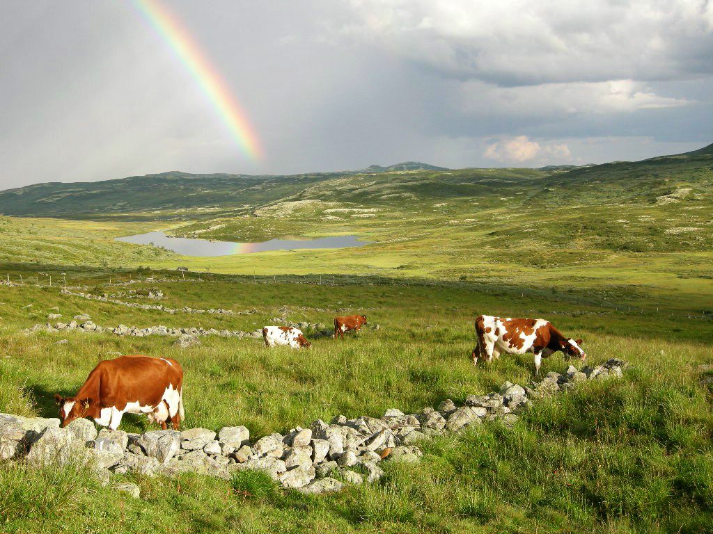 Fagerdalen Støl