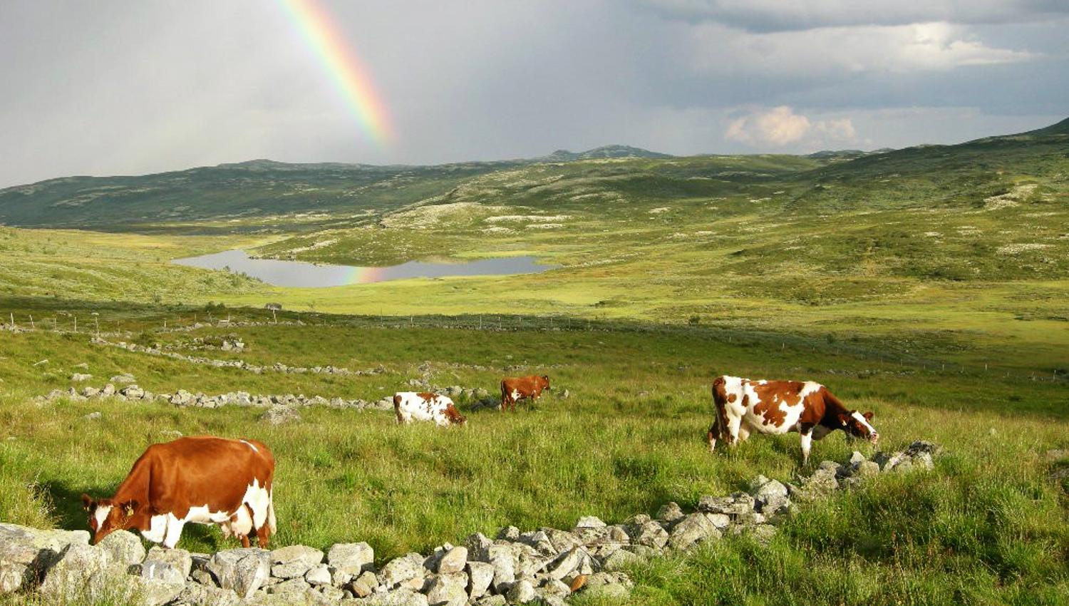 Fagerdalen Støl