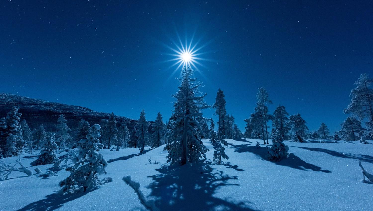 Moonlight above a tree in the Arctic light