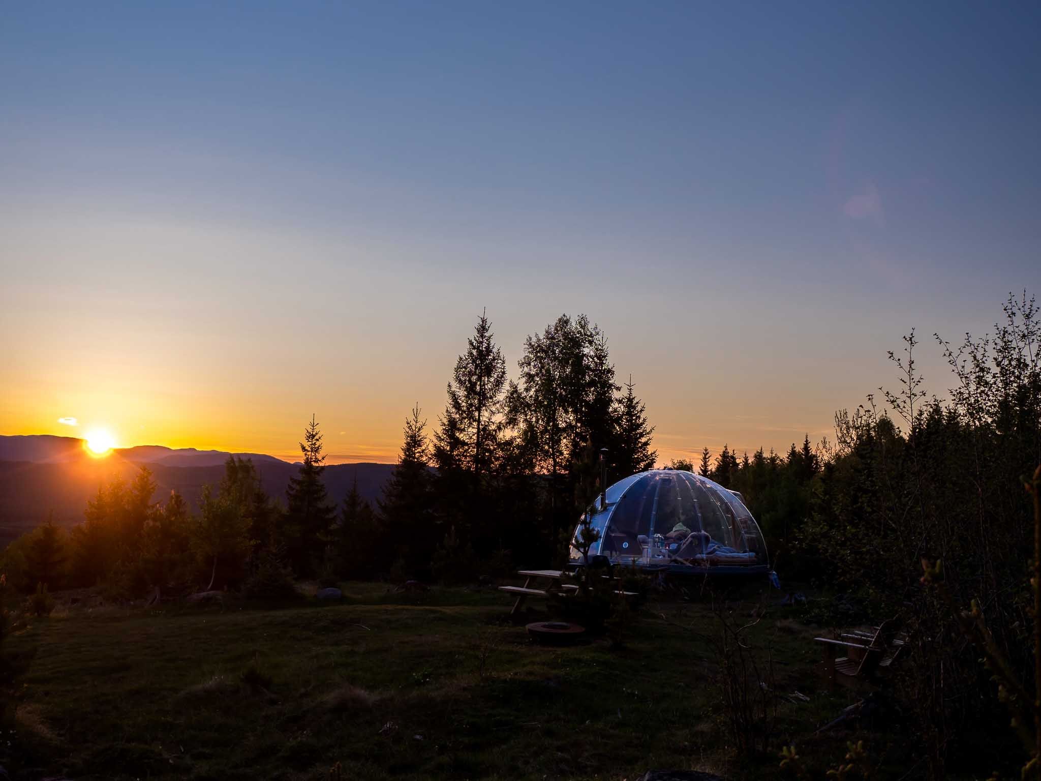 Igloo surrounded by forest during a sunset