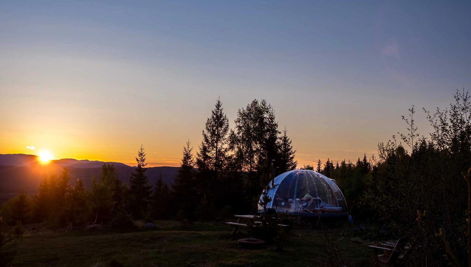 Igloo surrounded by forest during a sunset
