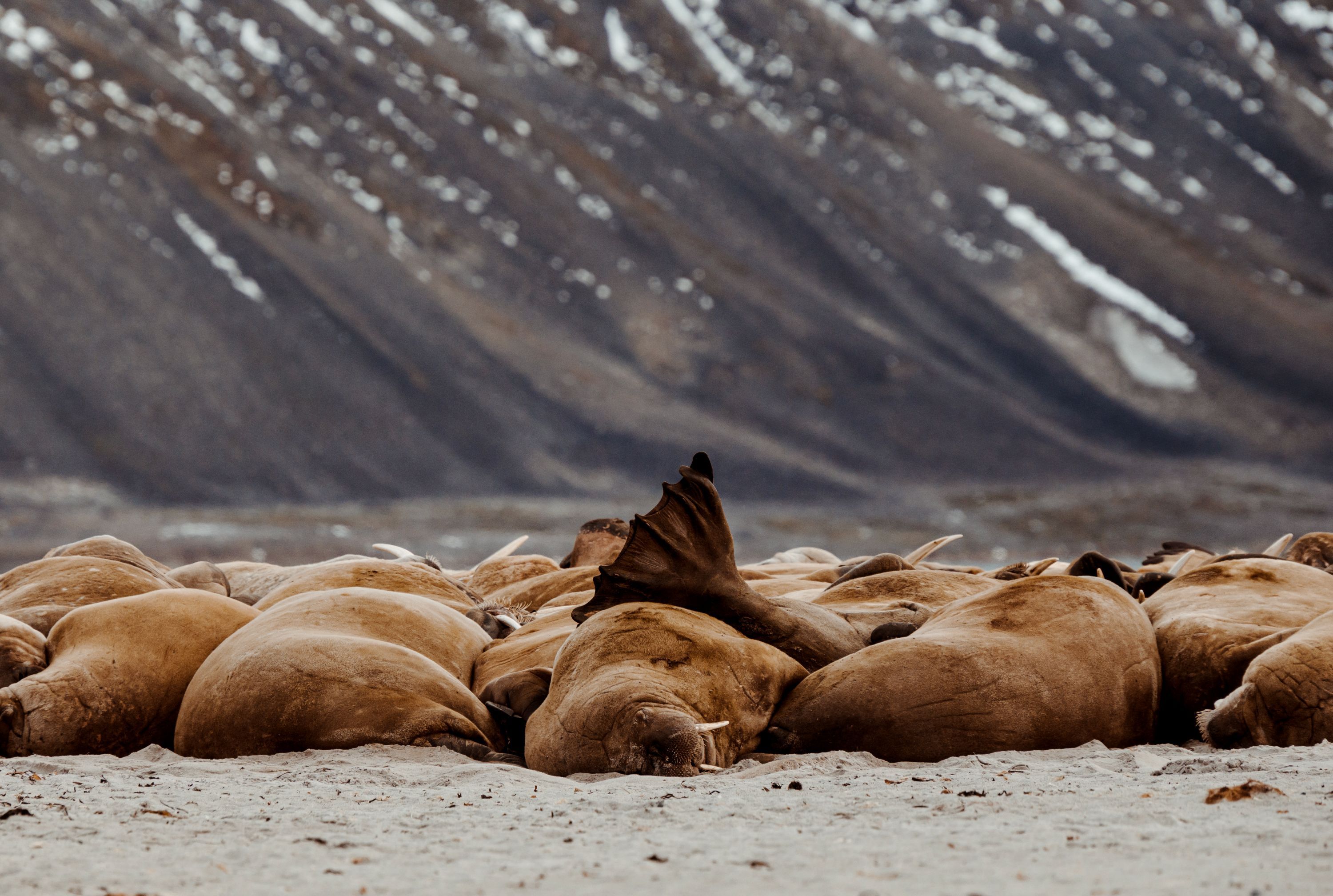 Create your own Arctic boat adventure – Snowfox Travel
