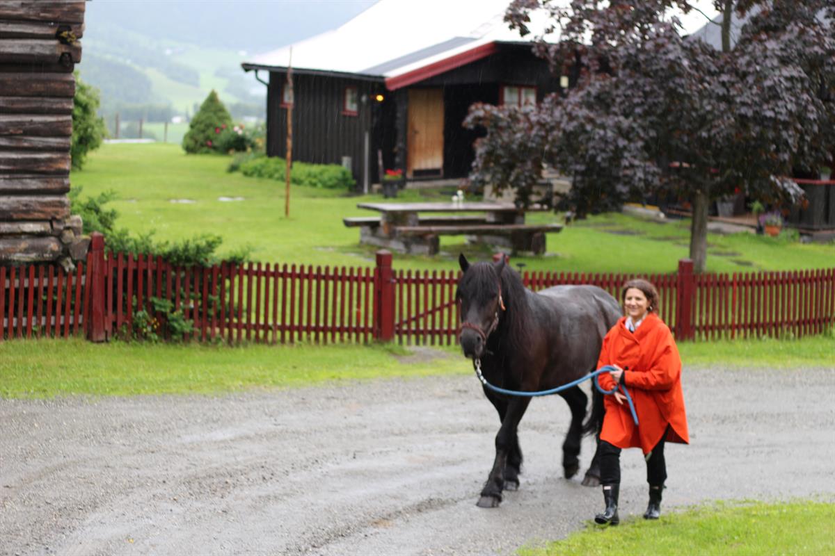 Walking with horse
