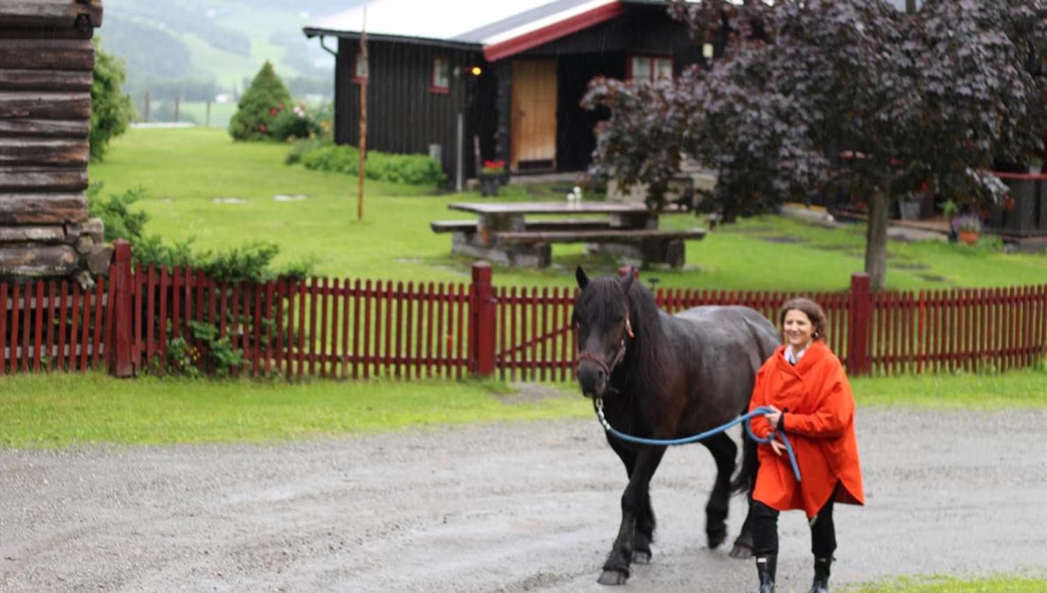 Walking with horse