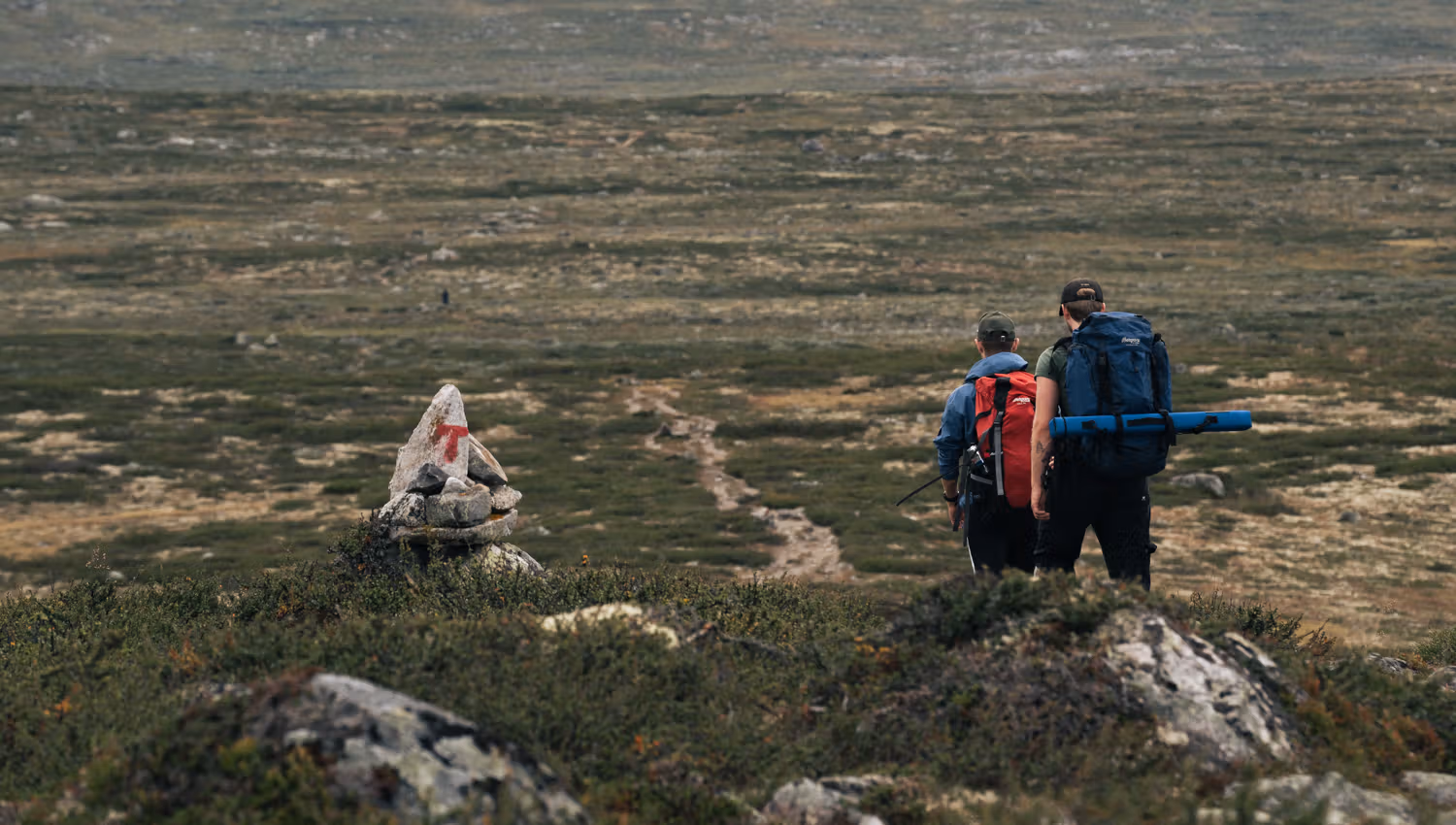Two hikers with backpacks walking on a t-marked path.