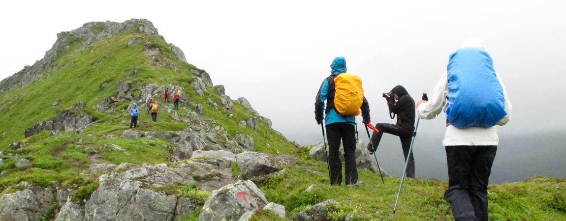 Hike Tjellbergtind - Lofoten Aktiv